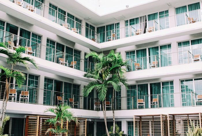 coconut palm trees in hotel lobby Fire pressure washing