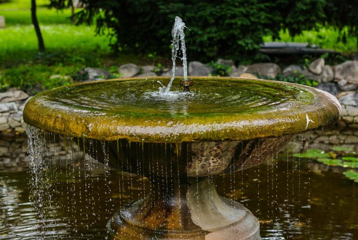 fountain, water, park-5544959.jpg